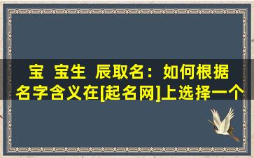 宝  宝生  辰取名：如何根据名字含义在[起名网]上选择一个符合国学理念的好名字
